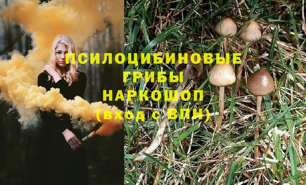 спиды Богородицк