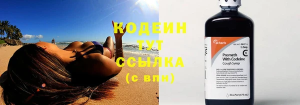 спиды Богородицк