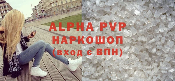 спиды Богородицк