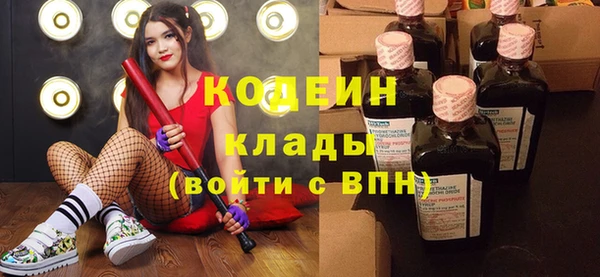 спиды Богородицк
