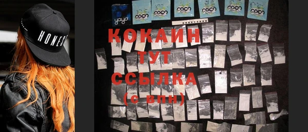 спиды Богородицк