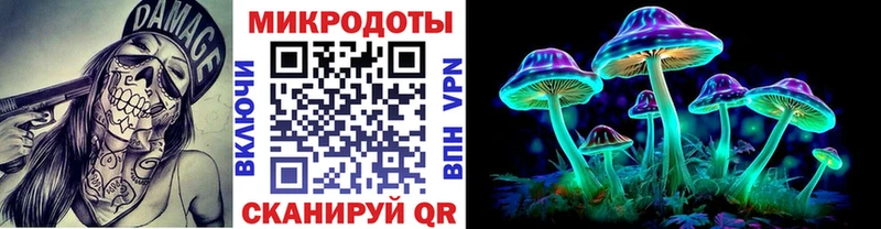 Псилоцибиновые грибы мицелий  Кондопога 